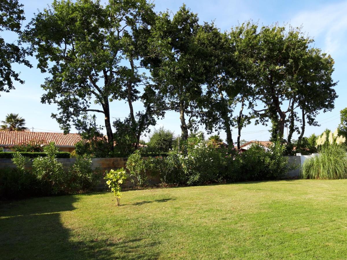 אנדרנוס-לה-באינס Agreable Maison Sur Le Bassin D'Arcachon מראה חיצוני תמונה